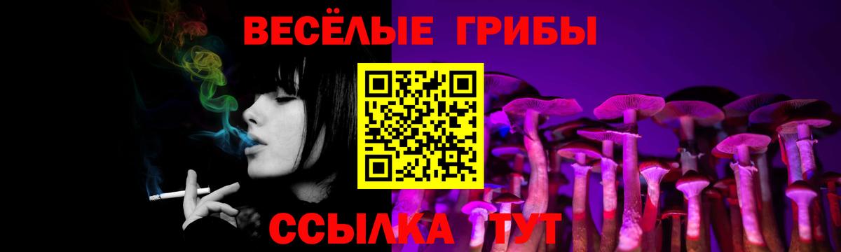 Галлюциногенные грибы Cubensis  Вход с VPN  Киселёвск 